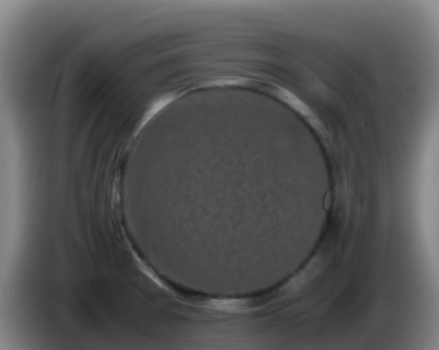 X0000086031377200703301045