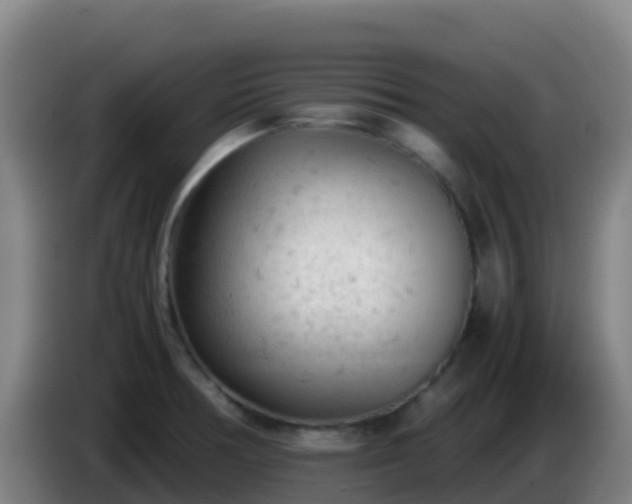 X0000086031378200703301045