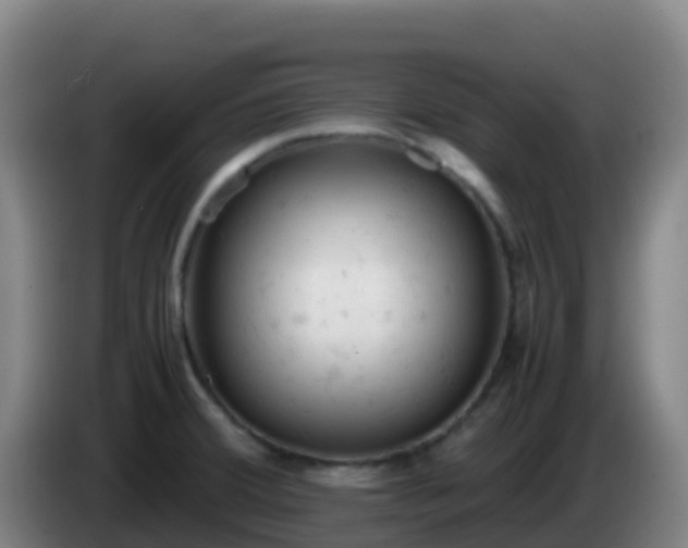 X0000086031380200703301045