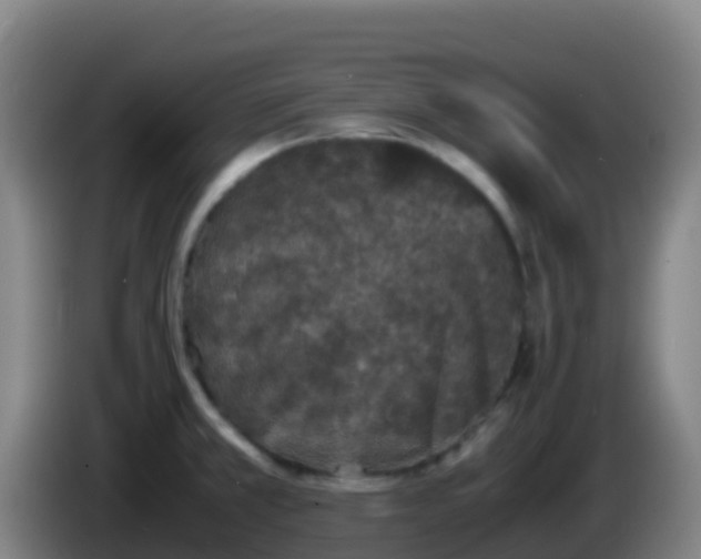 X0000086031381200703301045
