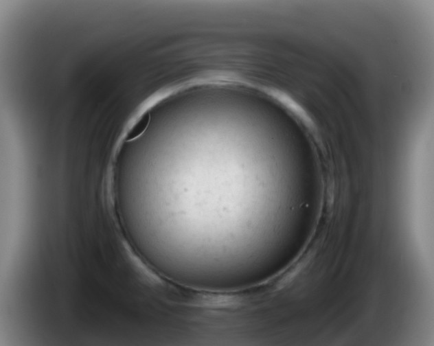 X0000086031382200703301045