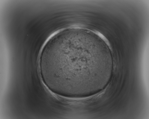 X0000086031384200703301045