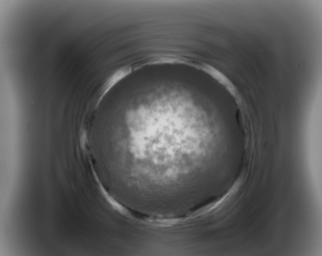 X0000086031385200703301045