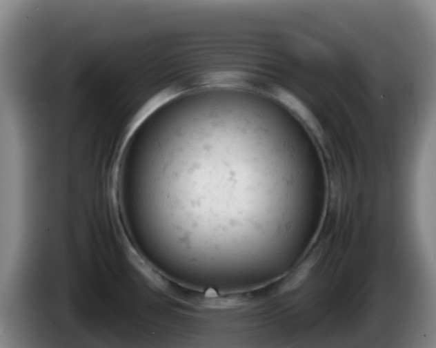 X0000086031386200703301045