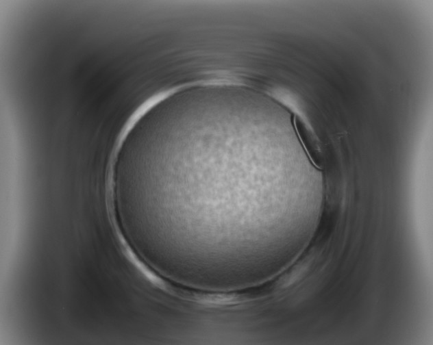 X0000086031387200703301044