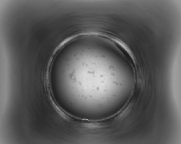 X0000086031388200703301044