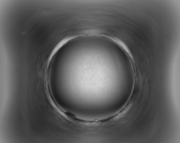 X0000086031389200703301044