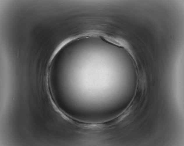 X0000086031390200703301044