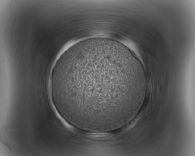 X0000086031391200703301044