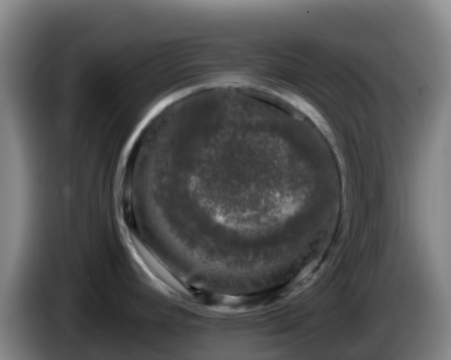 X0000086031392200703301044