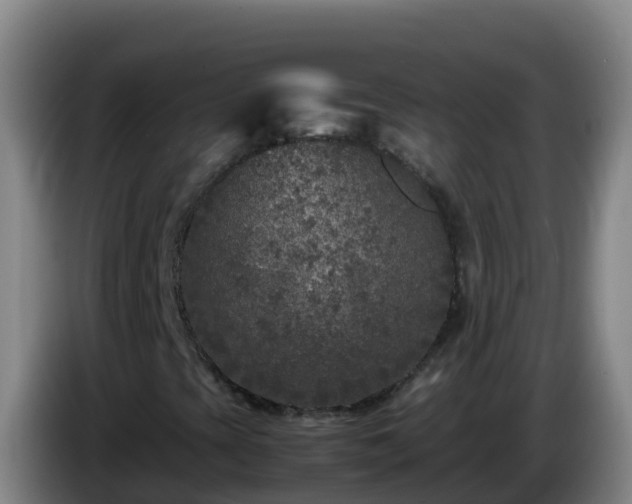 X0000086031393200703301044