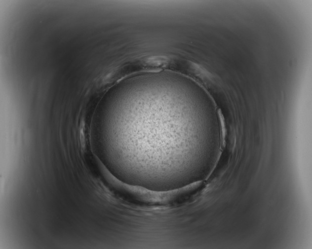 X0000086031394200703301044