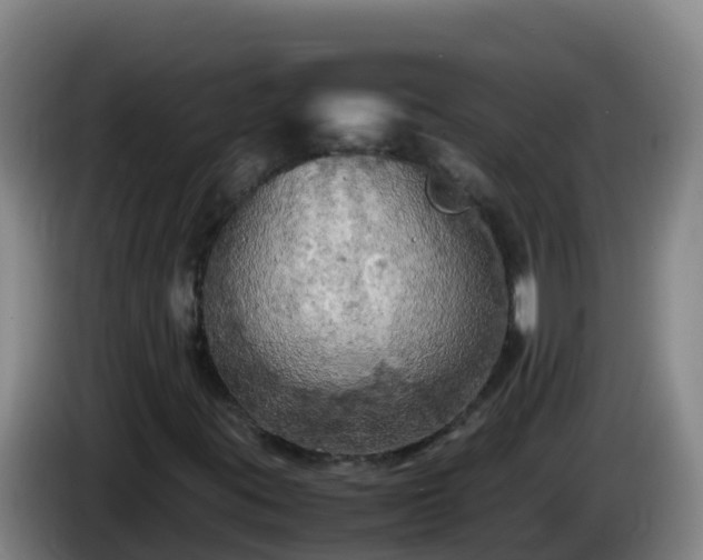 X0000086031395200703301044