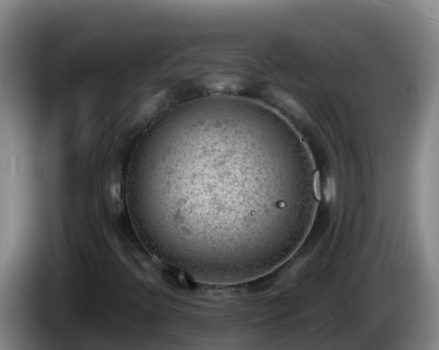 X0000086031396200703301044