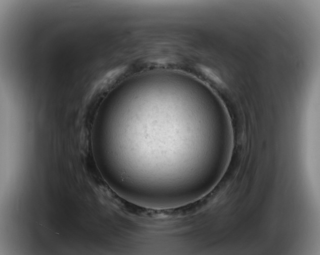 X0000086031398200703301044