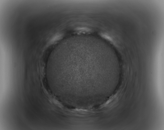 X0000086031399200703301044