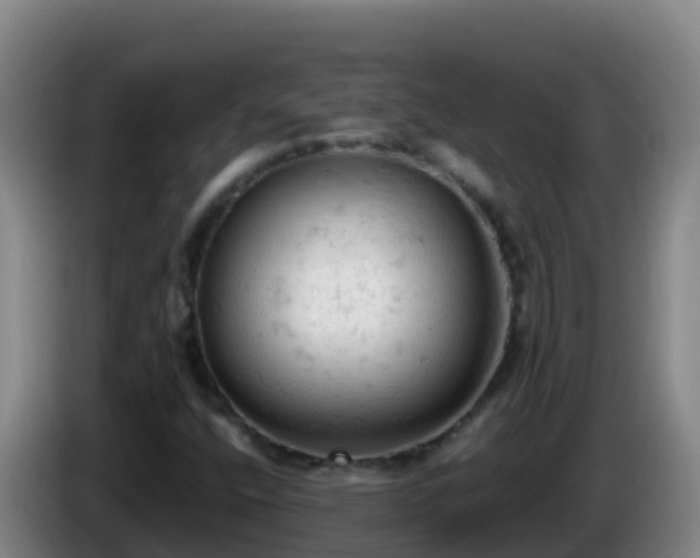 X0000086031400200703301044