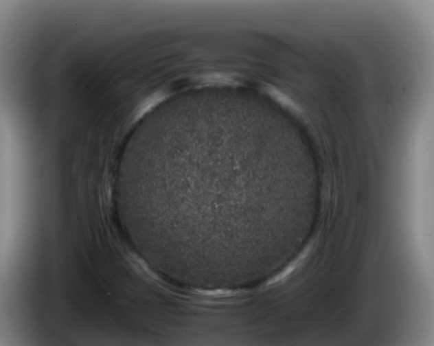 X0000086031401200703301044