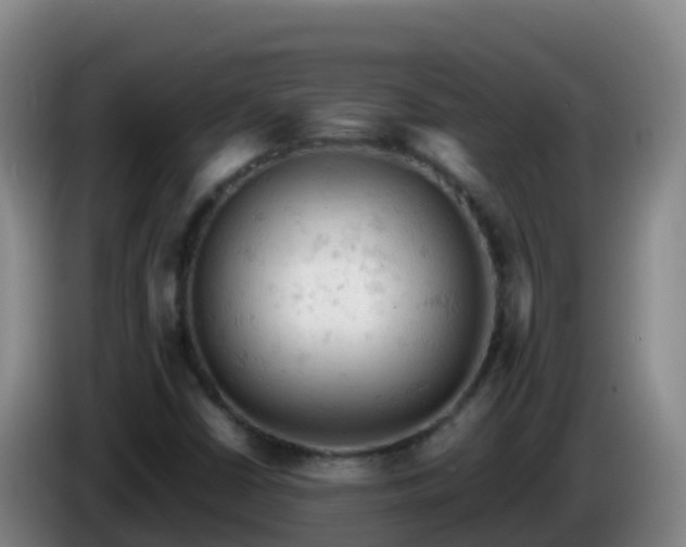 X0000086031402200703301044