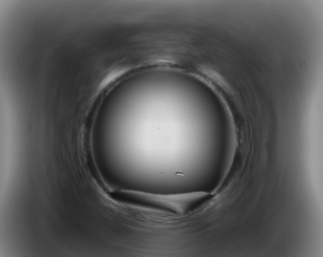 X0000086031404200703301044
