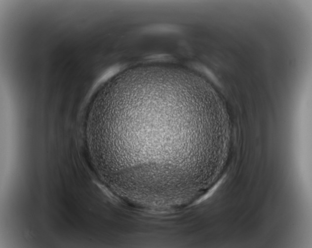 X0000086031405200703301044