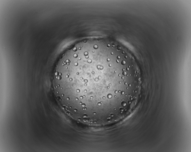 X0000086031407200703301044