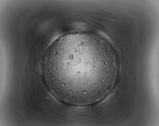 X0000086031409200703301044