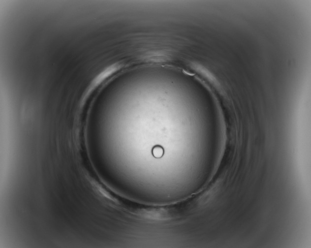 X0000086031410200703301044