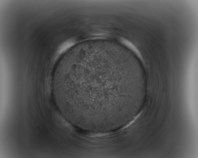 X0000086031411200703301044