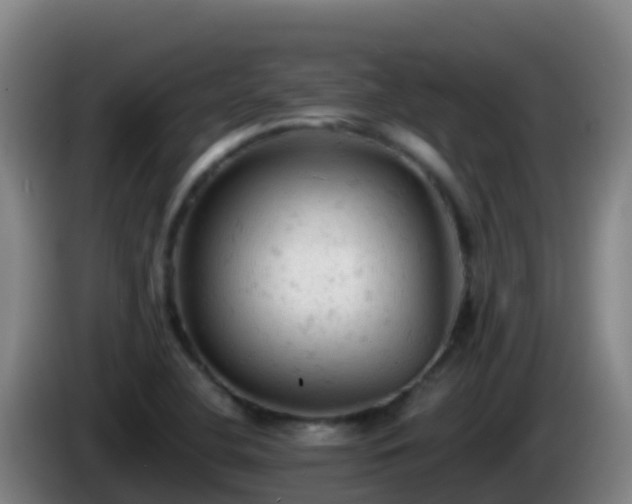 X0000086031412200703301044