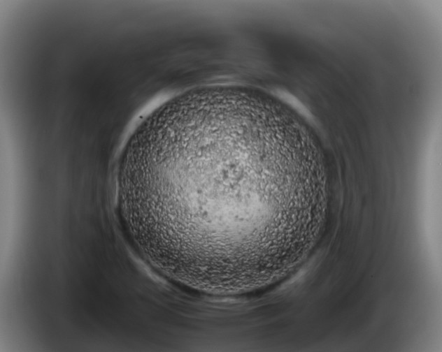X0000086031413200703301044
