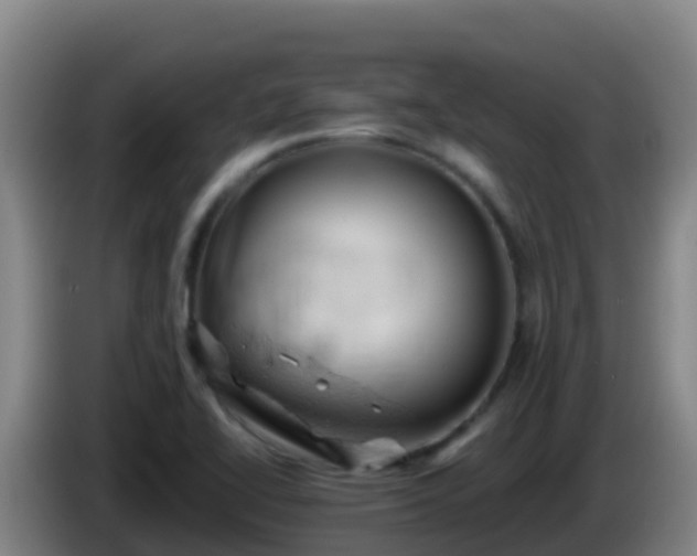 X0000086031414200703301044