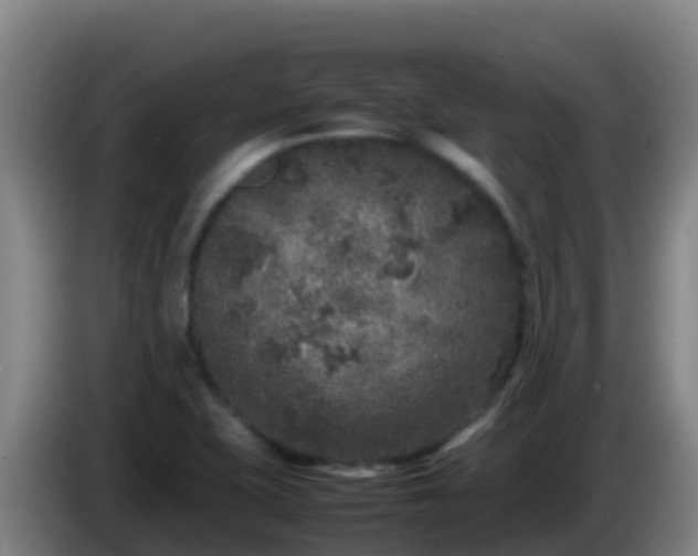 X0000086031415200703301044
