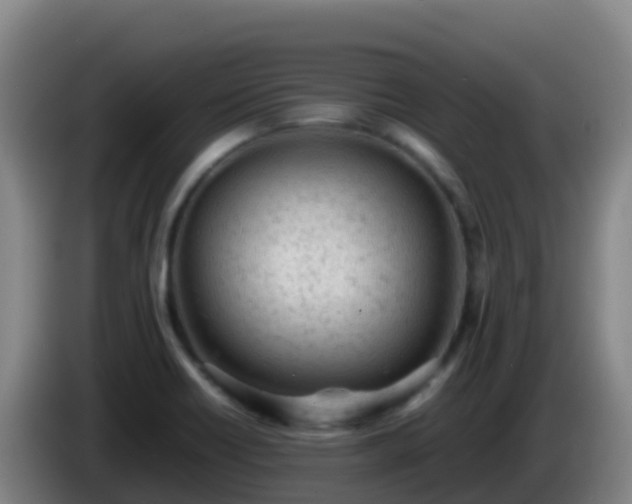 X0000086031418200703301044