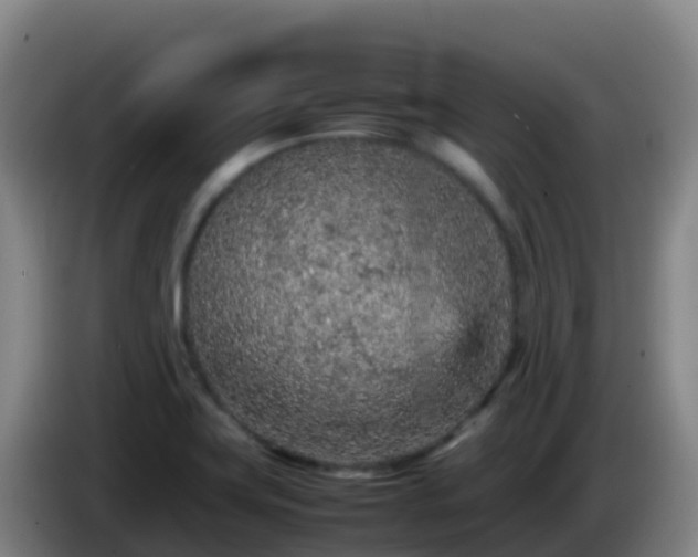 X0000086031419200703301044