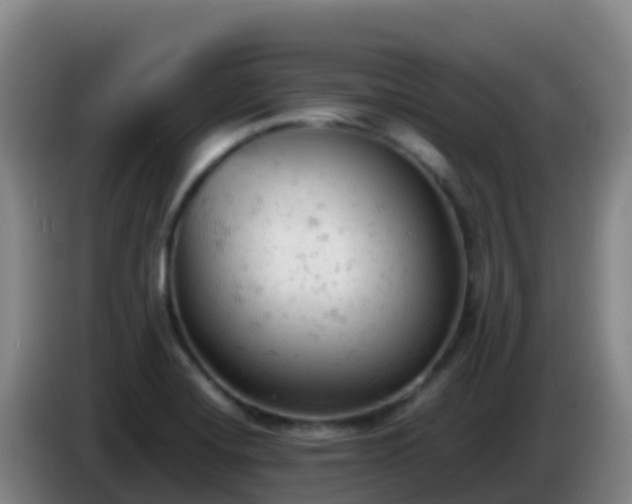 X0000086031420200703301044