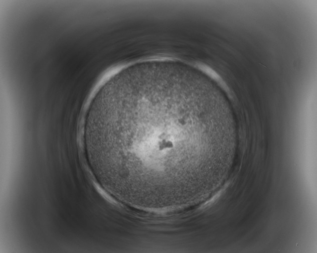 X0000086031421200703301044