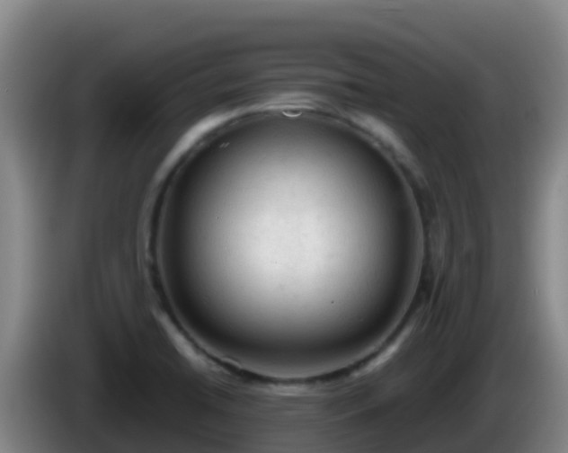 X0000086031422200703301044