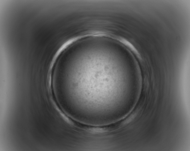 X0000086031424200703301044