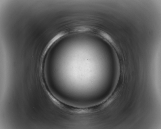 X0000086031426200703301044