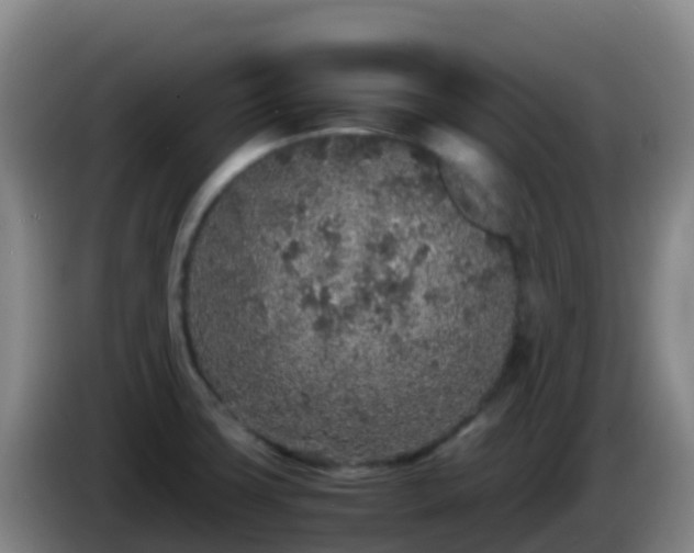 X0000086031427200703301044