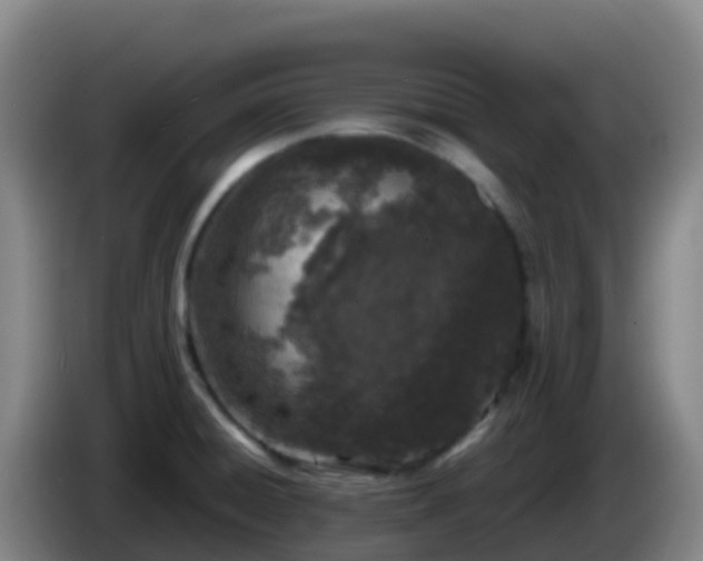 X0000086031428200703301044