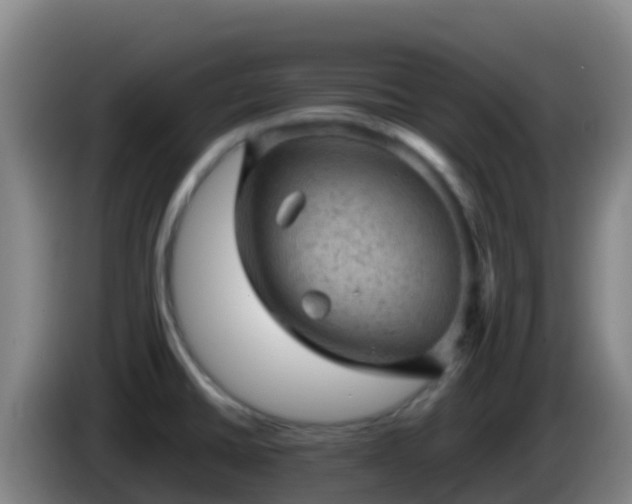 X0000086031430200703301044