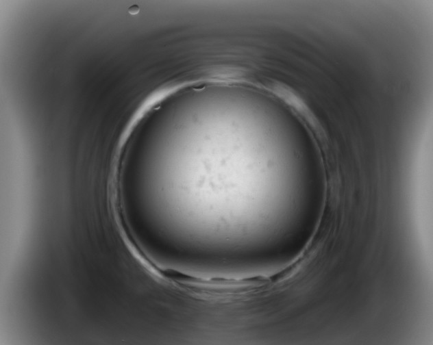 X0000086031432200703301044