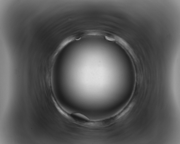 X0000086031433200703301044