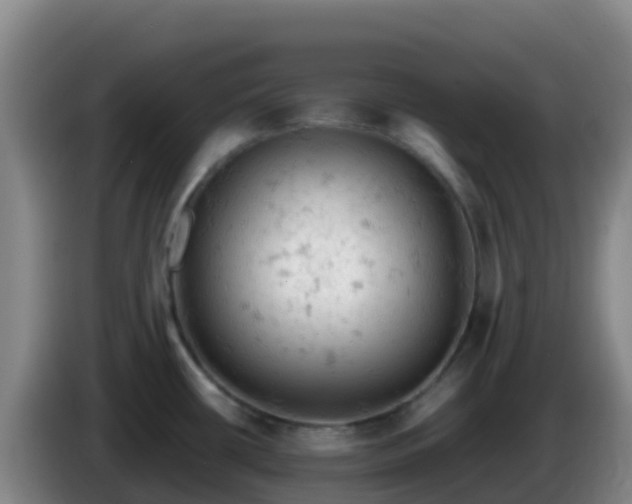 X0000086031434200703301044