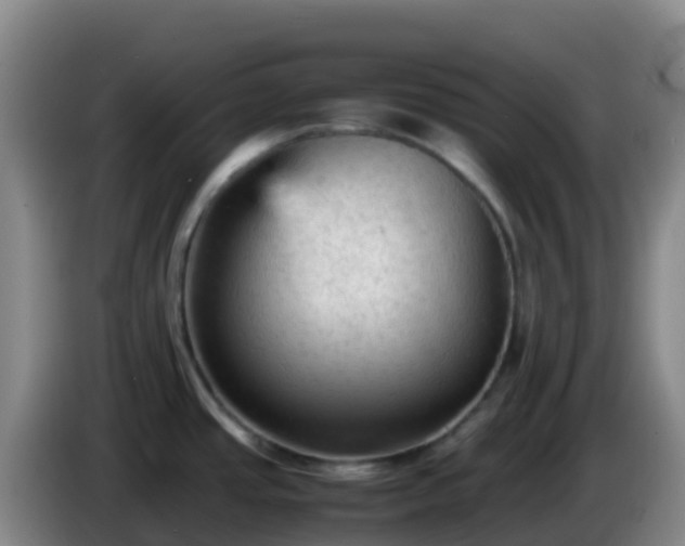 X0000086031437200703301044