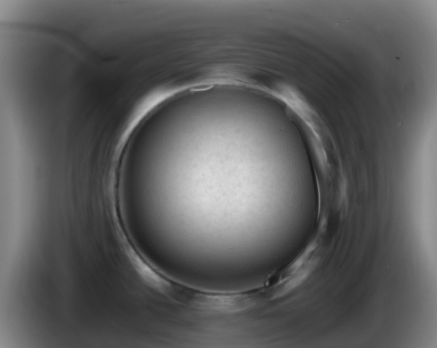 X0000086031438200703301044