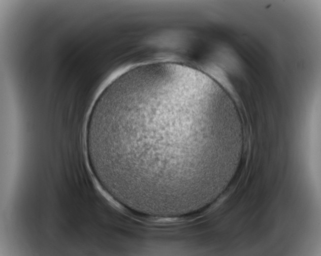 X0000086031439200703301044