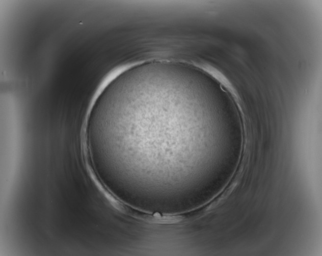X0000086031440200703301044